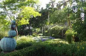 Trusted lawn care service in Midland, TX - Franklin Foliage & Landscaping