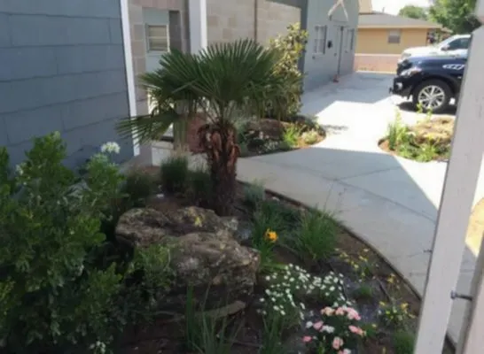 Franklin Foliage & Landscaping Logo