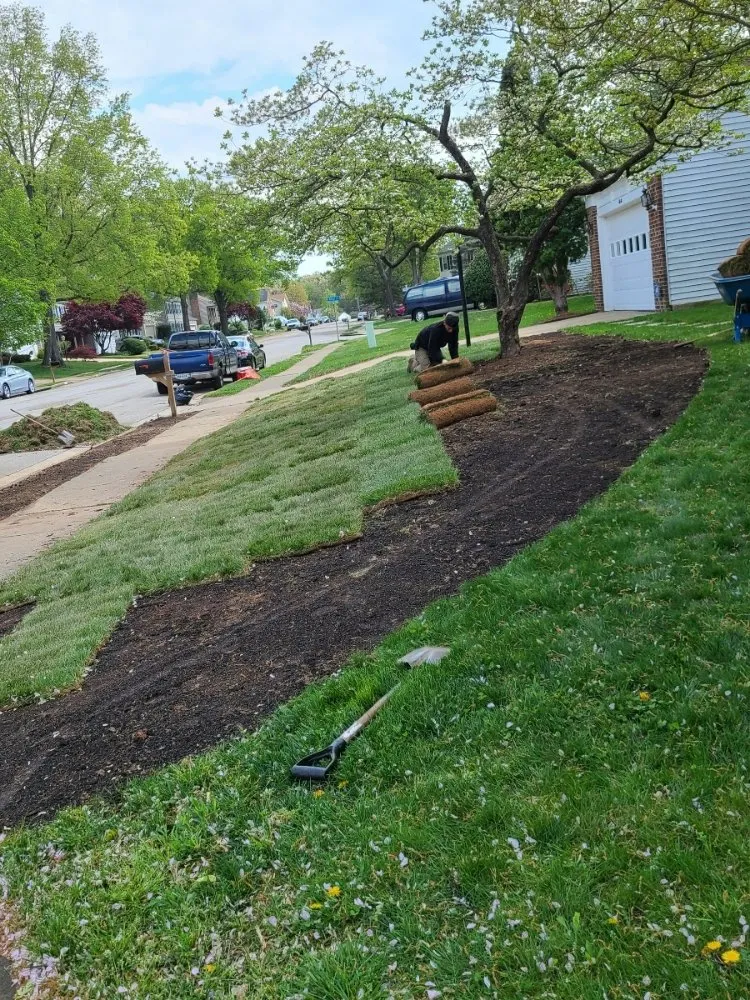 Top-rated yard cleanup service experts serving North Springfield, VA - Franklin Landscaping