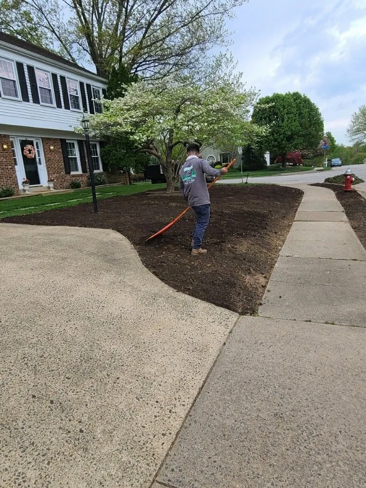 Reliable residential landscaping in North Springfield, VA by Franklin Landscaping