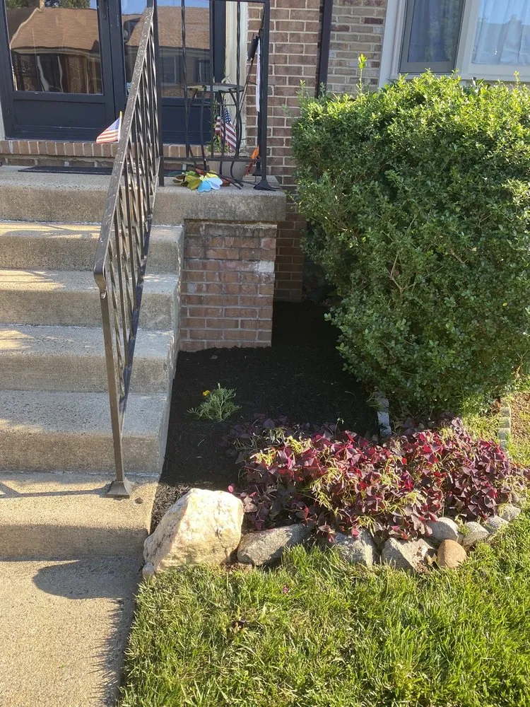 Professional lawn care service in North Springfield, VA by Franklin Landscaping