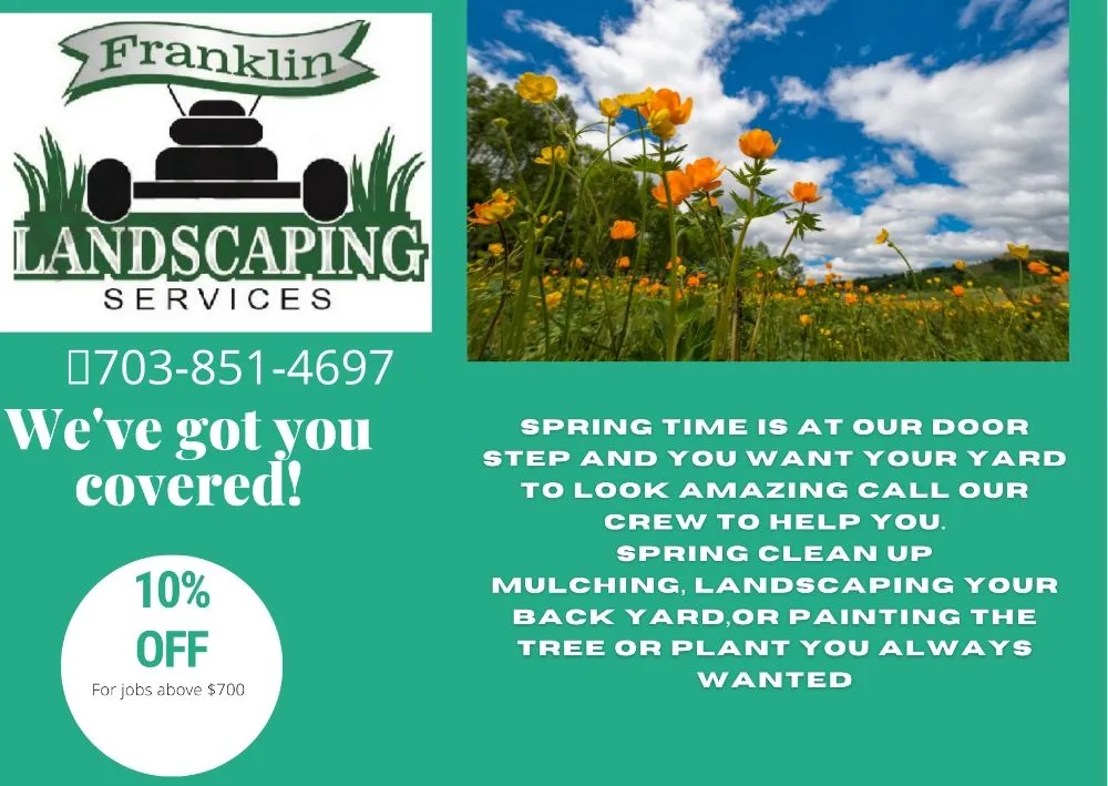 Top-rated landscaping services in North Springfield, VA - Franklin Landscaping