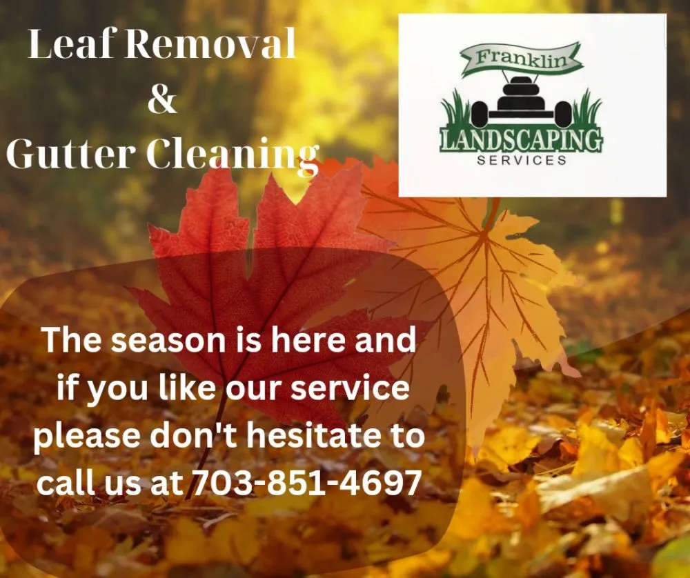 Expert yard maintenance in North Springfield, VA by Franklin Landscaping