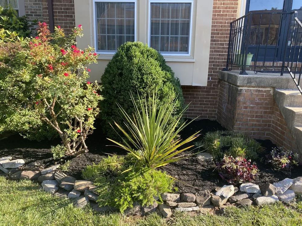 Reliable yard maintenance in North Springfield, VA - Franklin Landscaping
