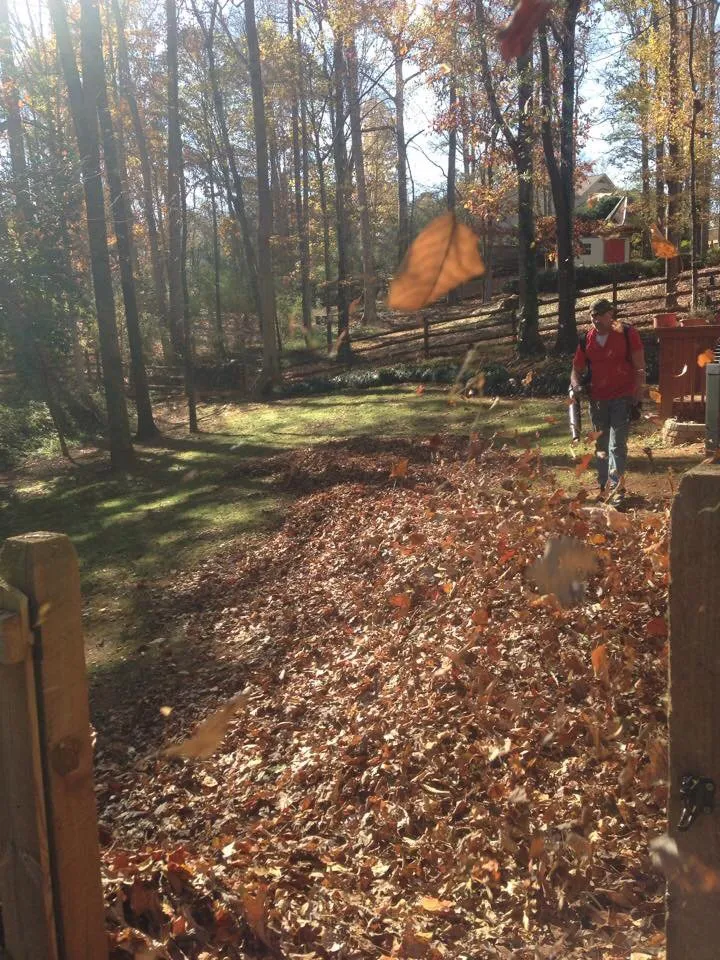 Expert yard cleanup service in Belmont, NC - Franklin Lawn and Landscaping