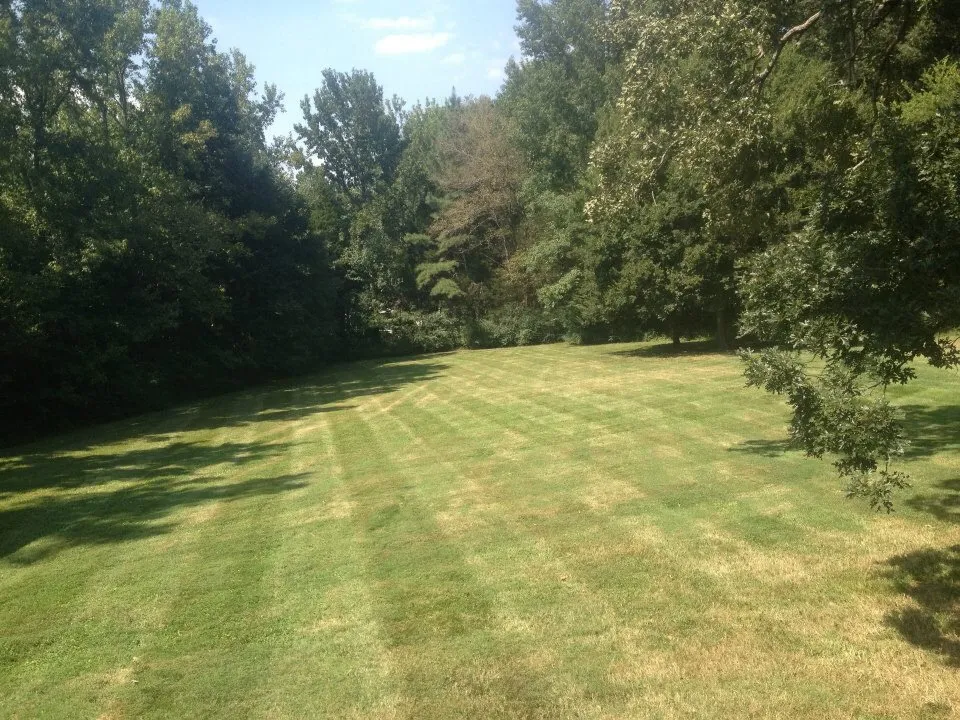 Affordable landscape design in Belmont, NC - Franklin Lawn and Landscaping