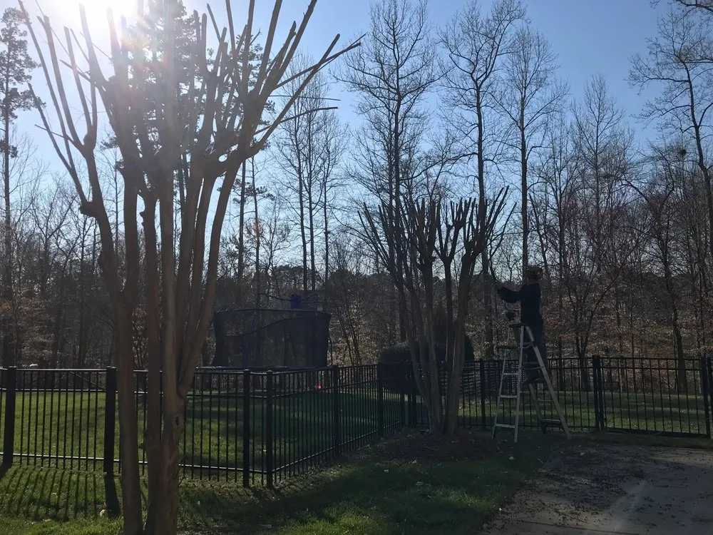 Top-rated outdoor landscaping for residential properties across Belmont, NC - Franklin Lawn and Landscaping