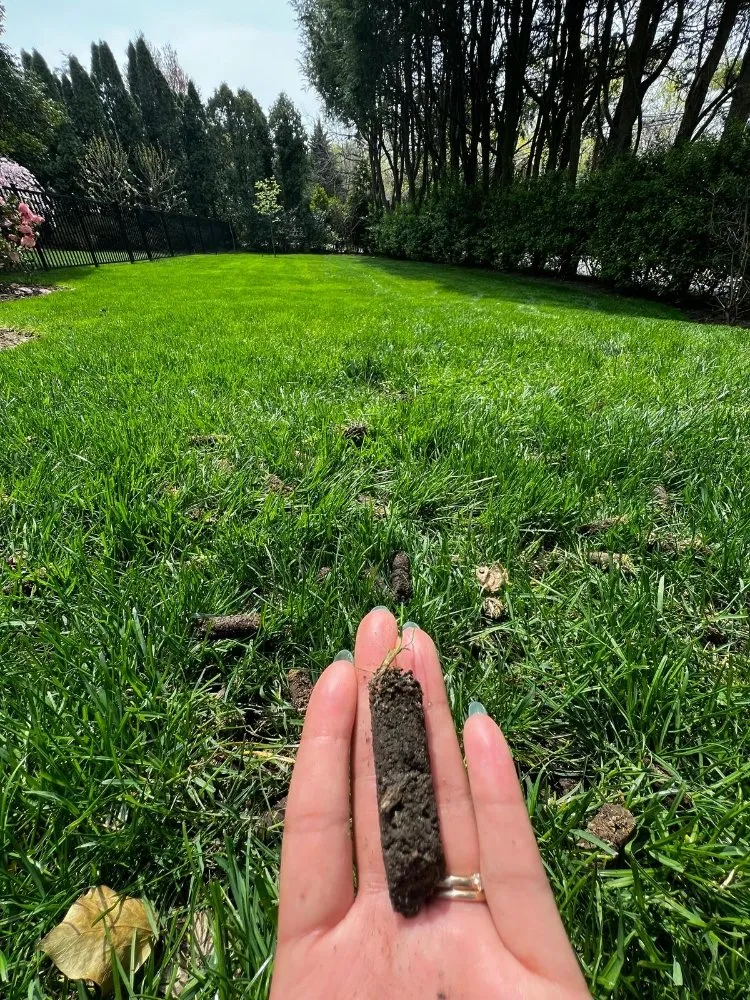 Reliable landscape design for homes in Westbury, NY by Franklin Lawn Care