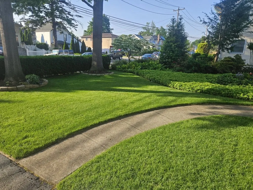 Custom yard maintenance in Westbury, NY by Franklin Lawn Care