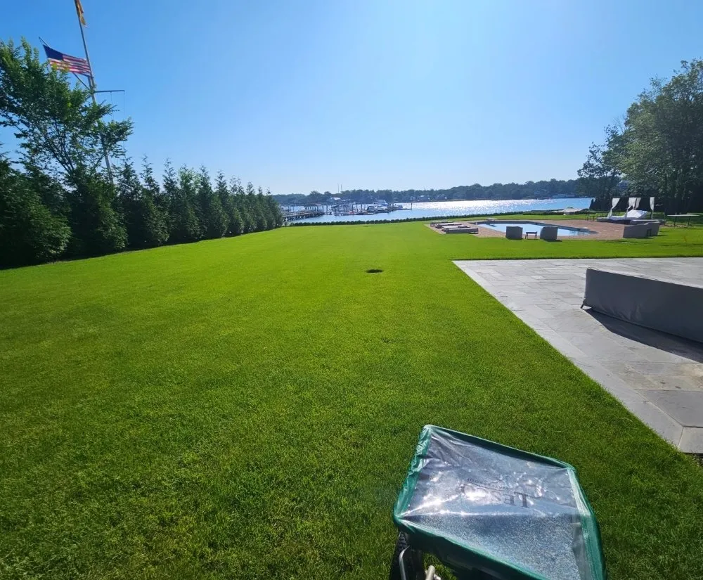 Professional landscape design for year-round maintenance in Westbury, NY by Franklin Lawn Care