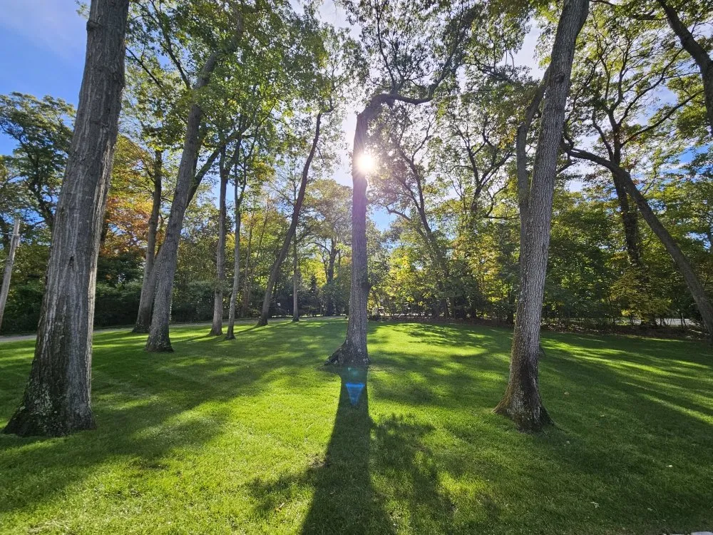 Reliable landscape design in Westbury, NY - Franklin Lawn Care