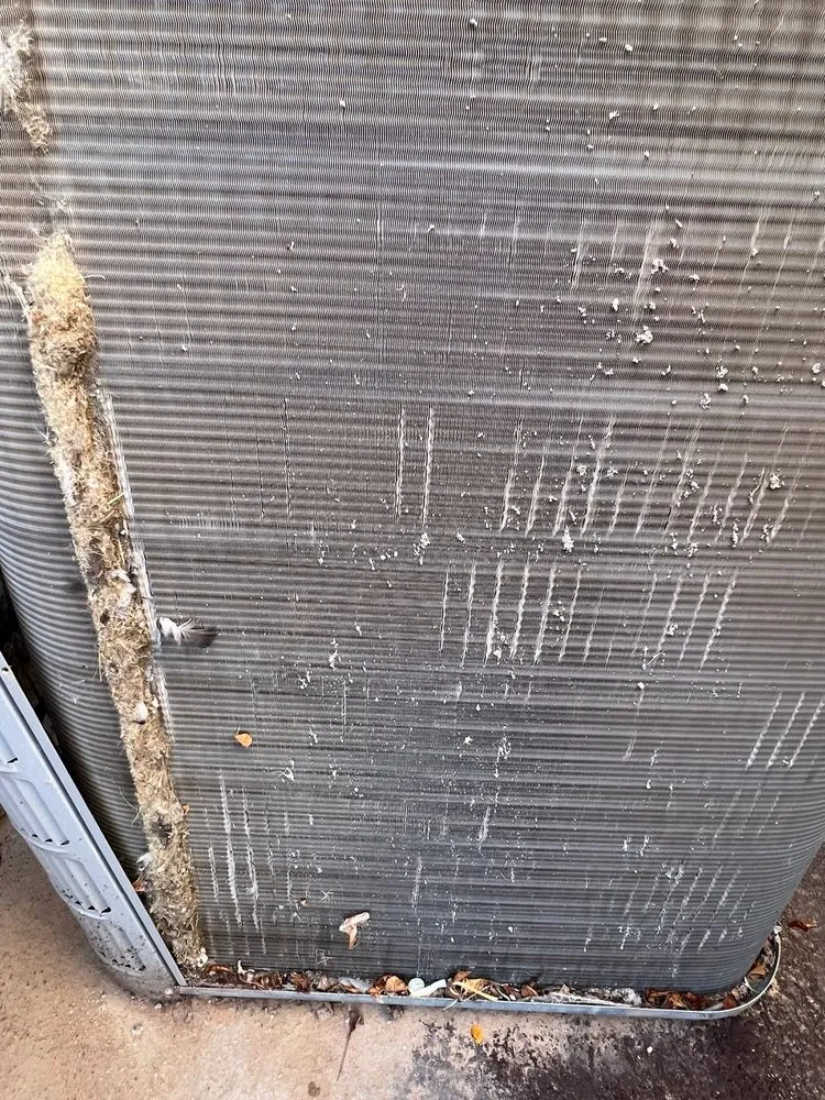 Professional landscape installation in El Paso, TX by Franklin Mountain Home Improvements