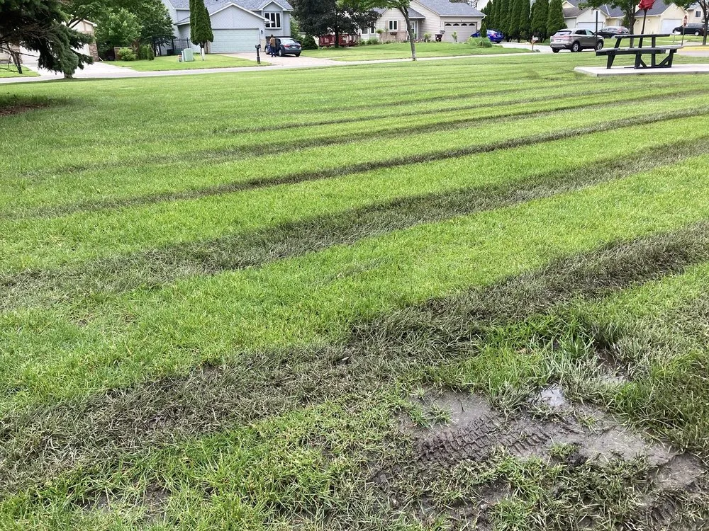 Top-rated landscaping services near you in Lakeville, MN by Franklin Outdoor Services