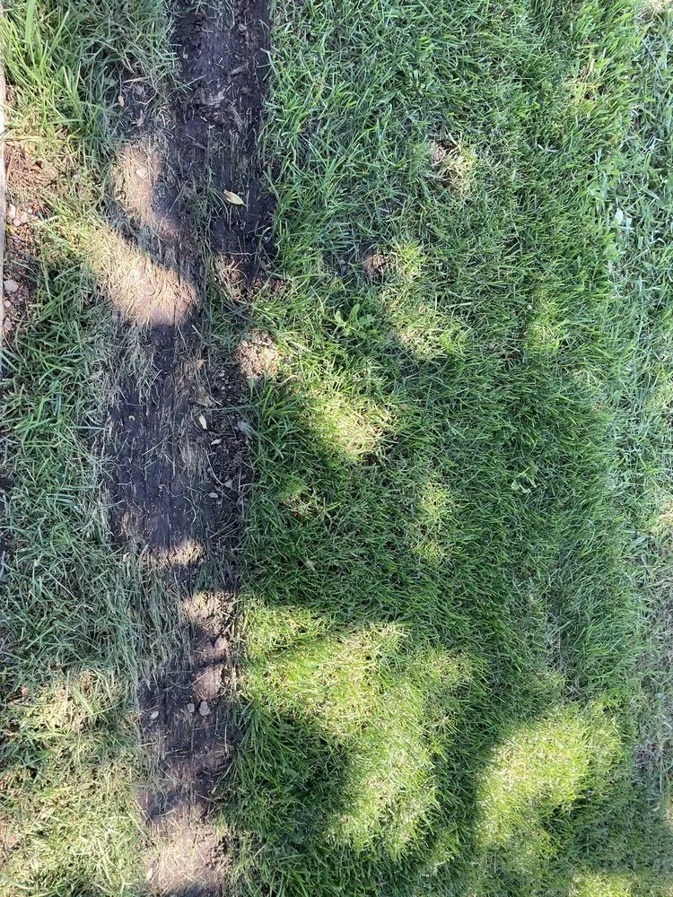 Trusted residential landscaping for homes across Lakeville, MN - Franklin Outdoor Services