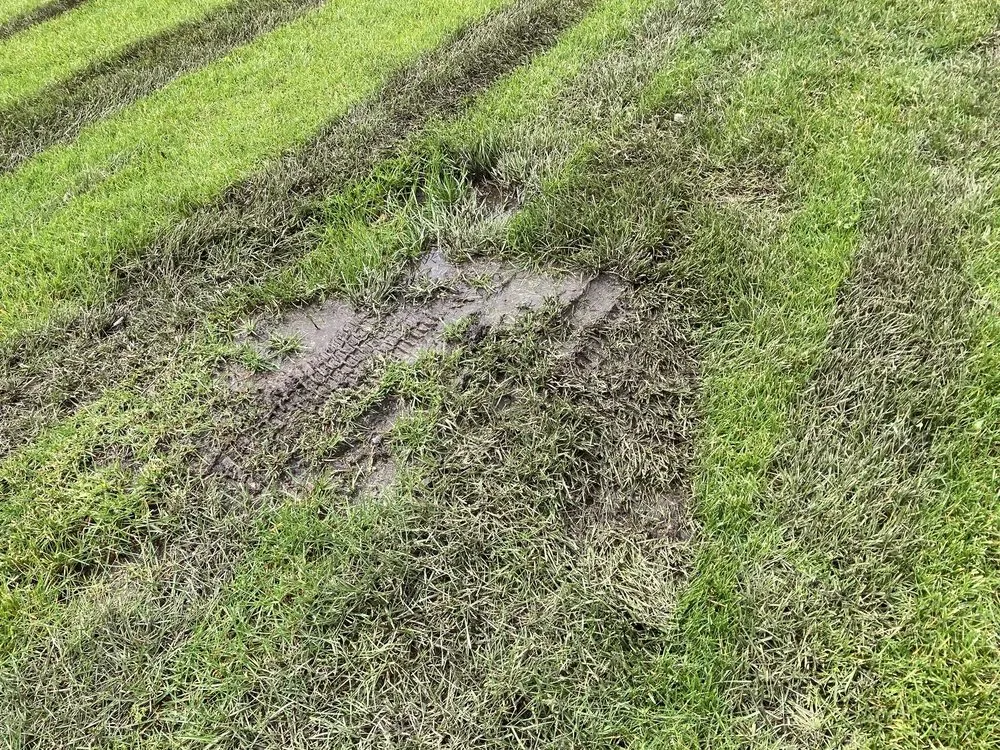 Expert lawn care service for homes across Lakeville, MN - Franklin Outdoor Services