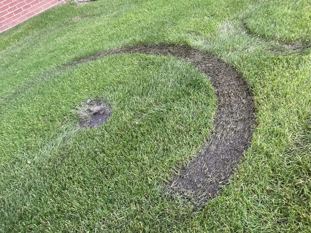 Local outdoor landscaping in Lakeville, MN - Franklin Outdoor Services