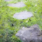 Local garden landscaping for beautiful yards across Lakeville, MN - Franklin Outdoor Services