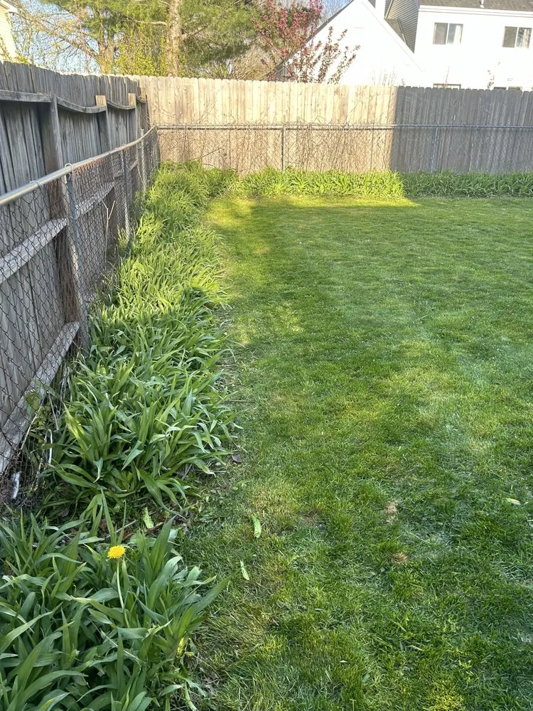 Custom yard maintenance for beautiful yards across Iowa City, IA - Franklin Property Maintenance