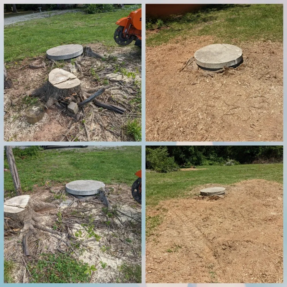 Affordable outdoor landscaping for beautiful yards in North Chesterfield, VA by Franklin Stump Grinding