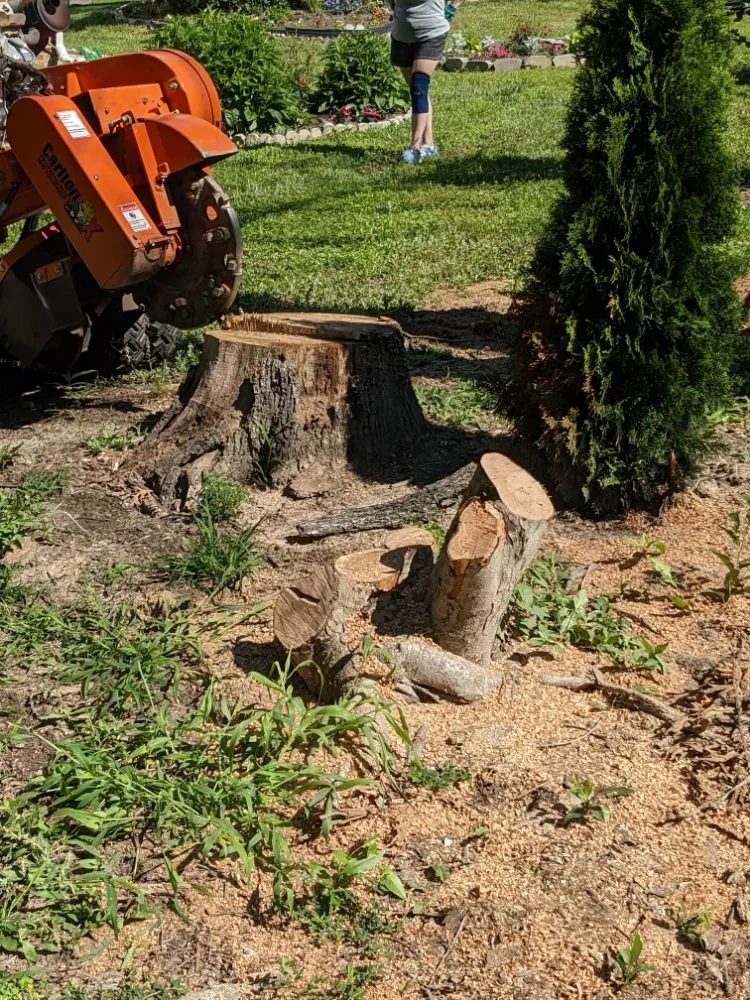 Expert outdoor landscaping for year-round maintenance across North Chesterfield, VA - Franklin Stump Grinding