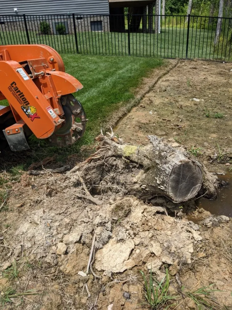 Trusted lawn care service for beautiful yards across North Chesterfield, VA - Franklin Stump Grinding