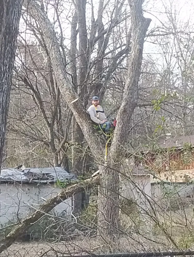 Top-rated lawn mowing service in Booneville, AR by Franklins Landscape & Pressure Wash