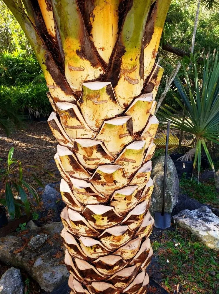 Professional garden landscaping with custom design across North Port, FL - Franklin's Landscape