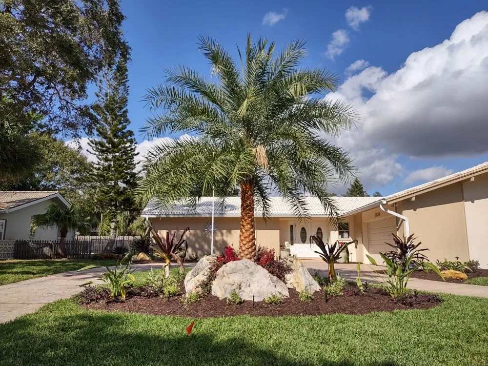 Reliable residential landscaping for year-round maintenance across North Port, FL - Franklin's Landscape