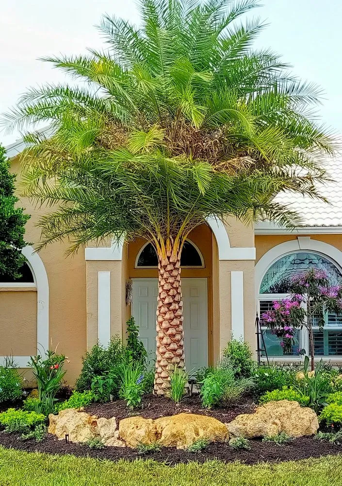 Local lawn care service in North Port, FL by Franklin's Landscape