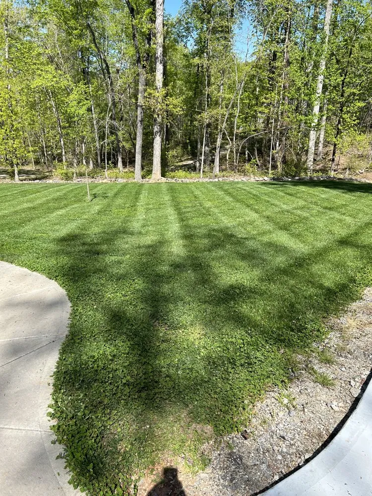 Local landscape installation for year-round maintenance across Oxford, NC - Franklin's Professional Lawn Care