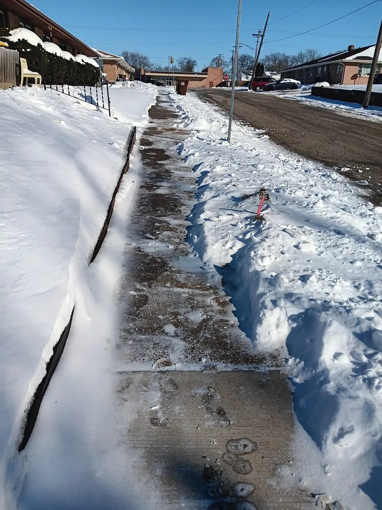 Top-rated lawn care service for beautiful yards in Rockford, IL by Franklyn's Lawn Care Service