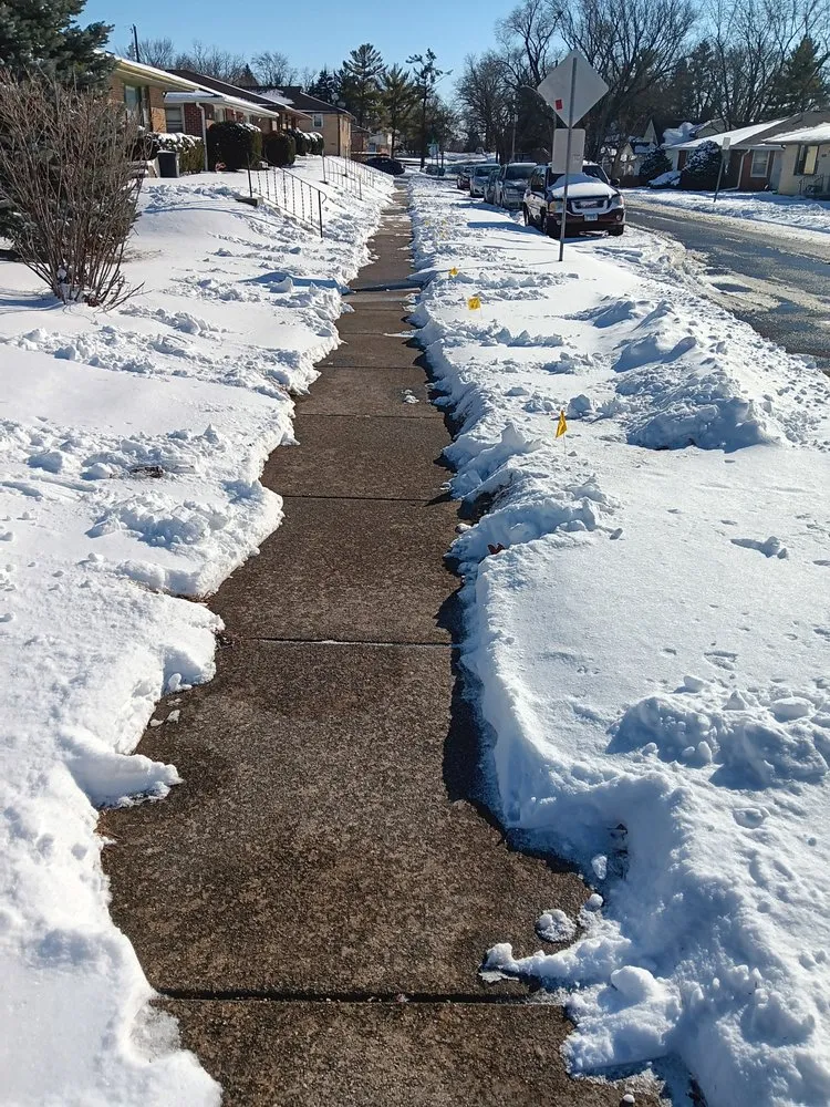 Expert landscape installation in Rockford, IL by Franklyn's Lawn Care Service