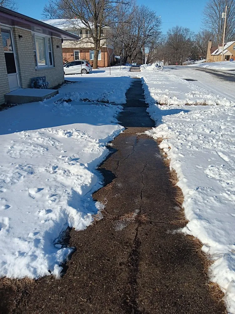 Expert yard cleanup service for residential properties in Rockford, IL by Franklyn's Lawn Care Service