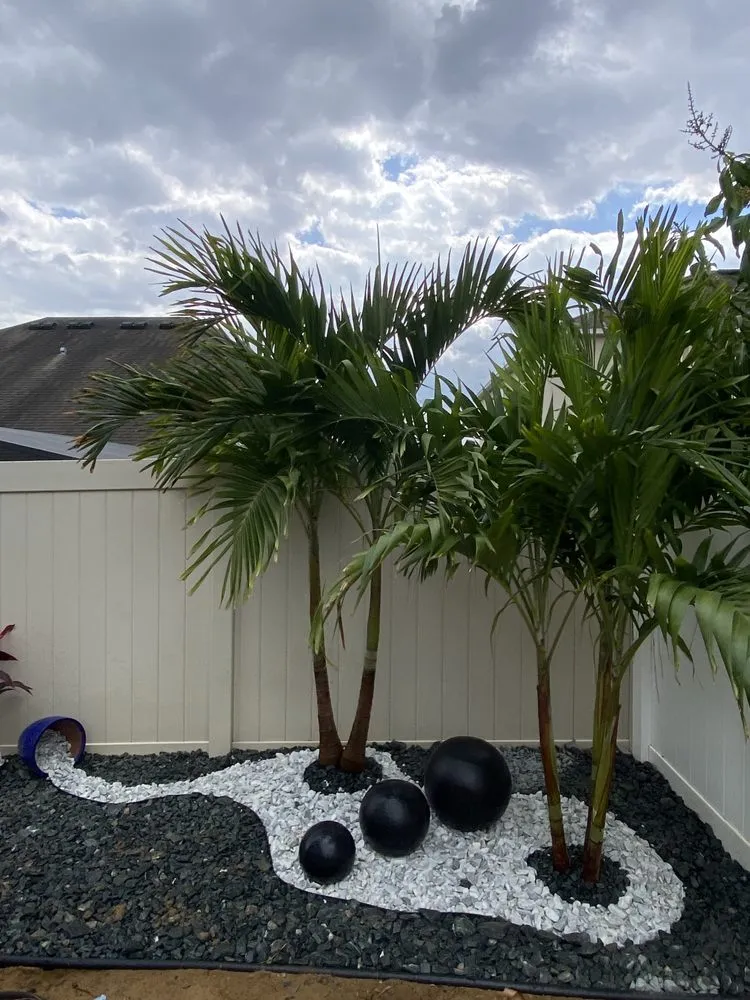 Trusted yard maintenance near you across Davenport, FL - Frankmo’s Landscaping
