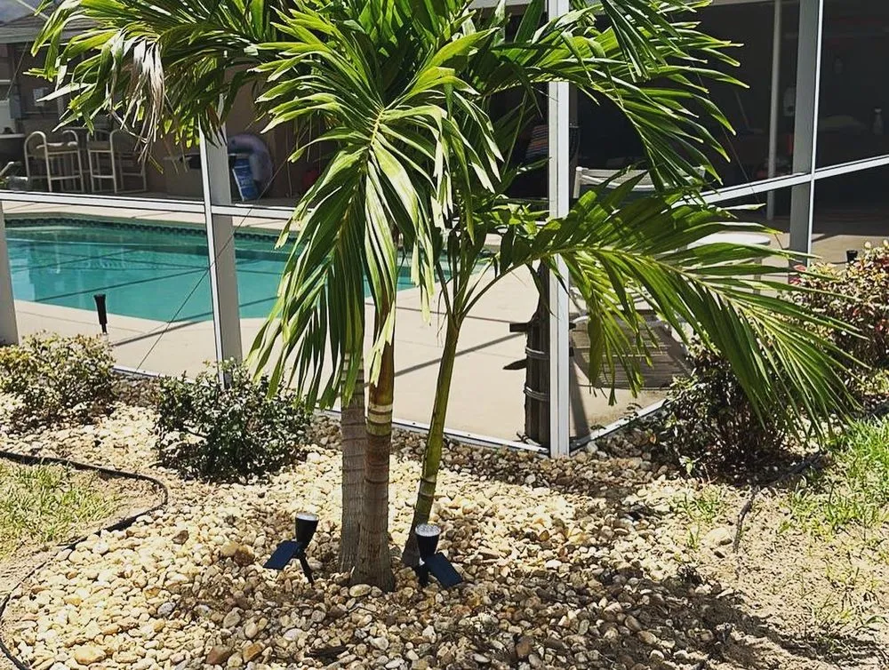 Affordable outdoor landscaping near you across Davenport, FL - Frankmo’s Landscaping