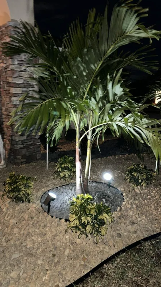 Professional lawn care service in Davenport, FL - Frankmo’s Landscaping