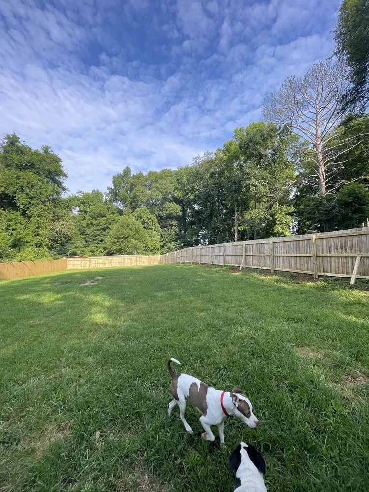 Trusted yard cleanup service near you in DULUTH, GA by Franko's Construction