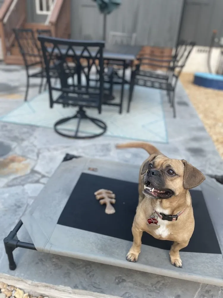 Trusted landscape installation experts serving DULUTH, GA - Franko's Construction