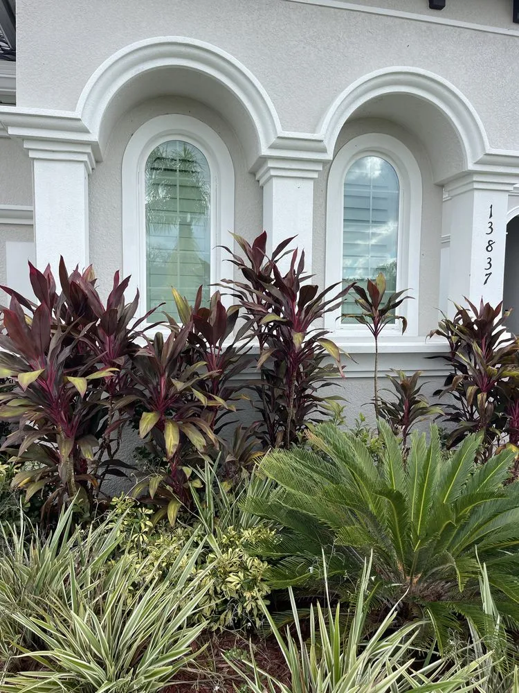 Custom landscape design for beautiful yards in New Port Richey, FL by Frank's All in One Services