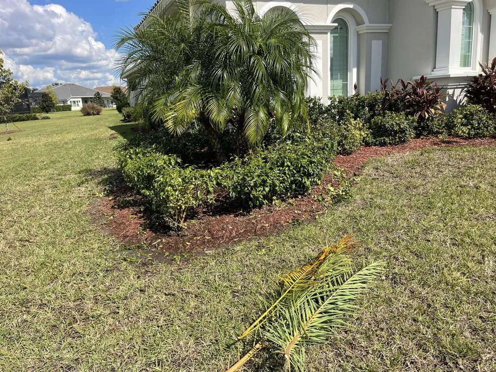 Custom yard maintenance experts serving New Port Richey, FL - Frank's All in One Services