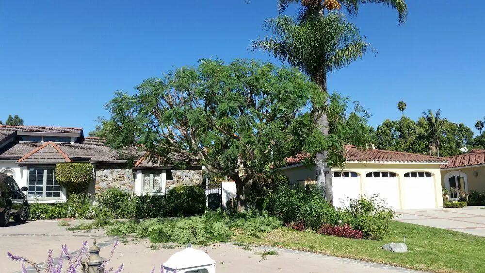 Professional landscape design for beautiful yards across Lomita, CA - Frank's Artscaping