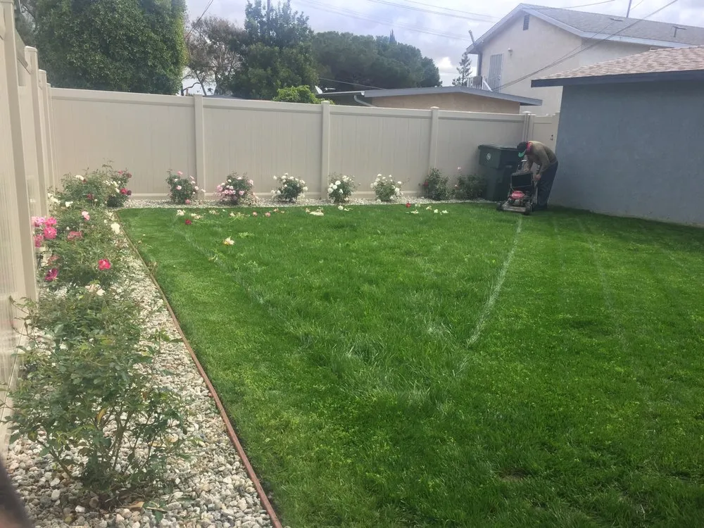 Top-rated lawn care service experts serving Lomita, CA - Frank's Artscaping