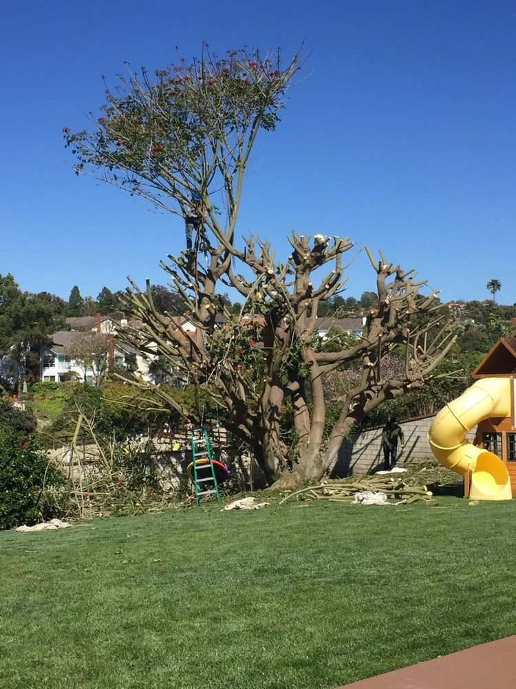 Local lawn care service for outdoor upgrades in Lomita, CA by Frank's Artscaping