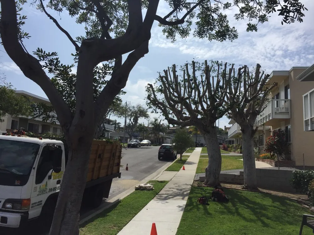 Affordable outdoor landscaping for year-round maintenance across Lomita, CA - Frank's Artscaping