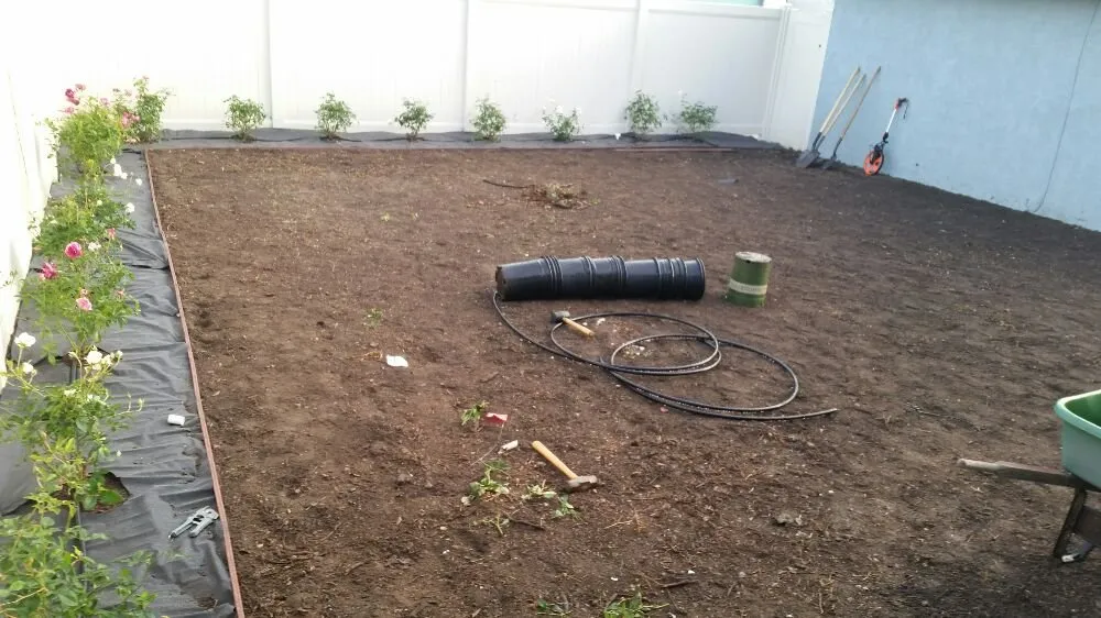 Expert lawn care service near you in Lomita, CA by Frank's Artscaping