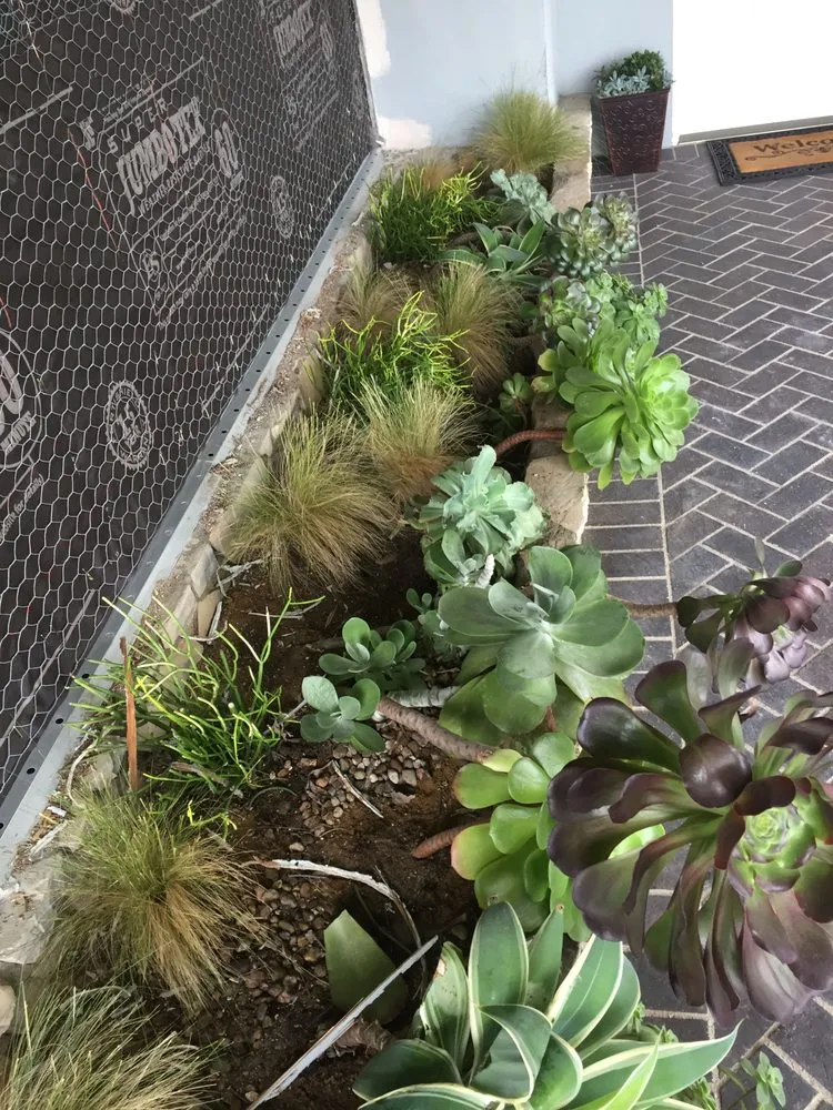 Reliable yard maintenance in Lomita, CA by Frank's Artscaping