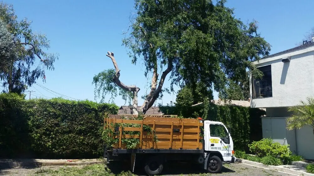 Professional landscape design for beautiful yards in Lomita, CA by Frank's Artscaping