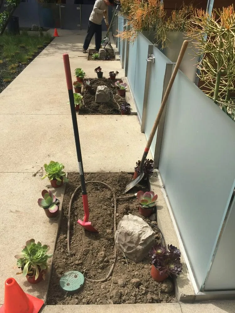 Professional outdoor landscaping near you in Lomita, CA by Frank's Artscaping