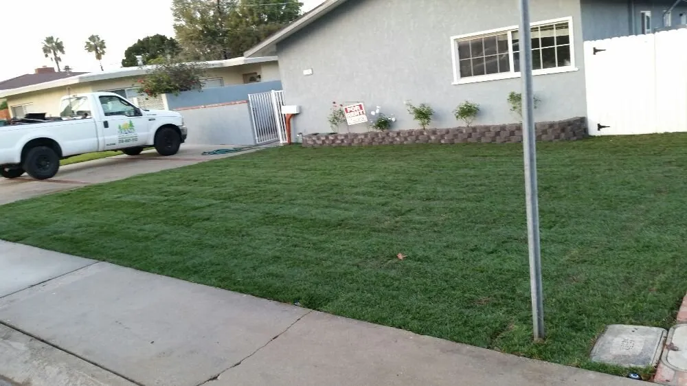 Reliable landscape installation for beautiful yards across Lomita, CA - Frank's Artscaping