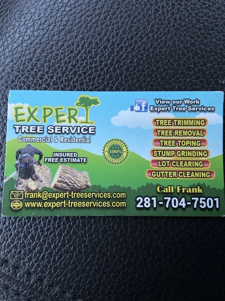 Professional outdoor landscaping in Magnolia, TX by Franks Expert Tree
